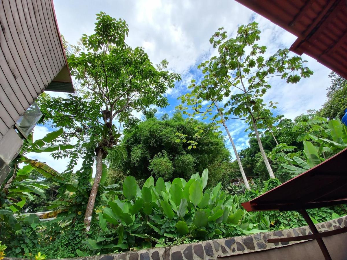 Sunrise House Bed and Breakfast Quepos Eksteriør billede